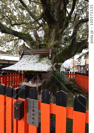 上賀茂神社 上賀茂神社 100573135