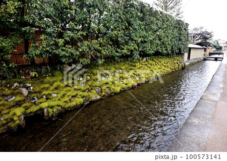 上賀茂神社 100573141