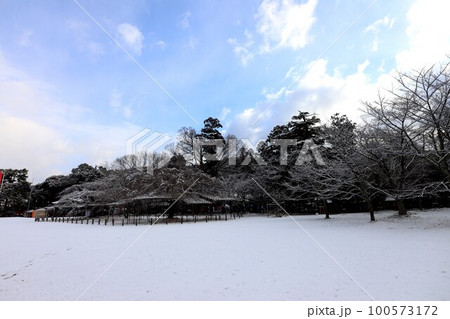 上賀茂神社 上賀茂神社 100573172