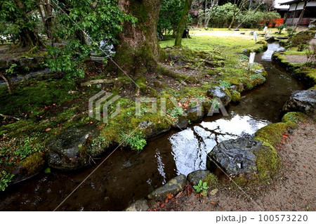 上賀茂神社 上賀茂神社 100573220