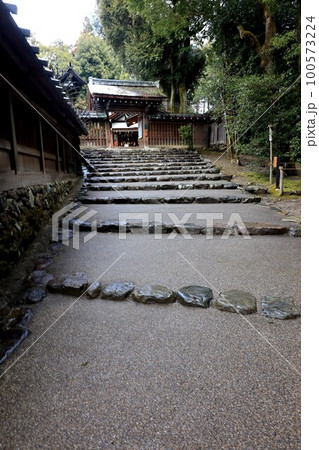 上賀茂神社 上賀茂神社 100573224