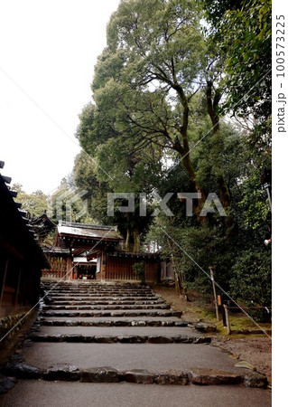 上賀茂神社 上賀茂神社 100573225