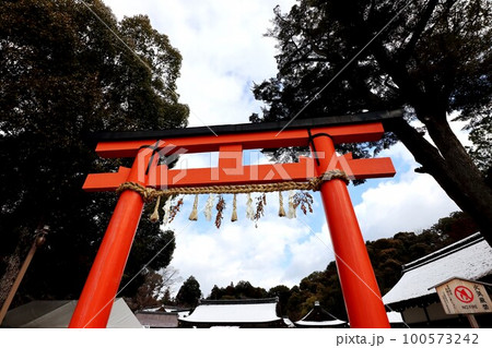 上賀茂神社 100573242