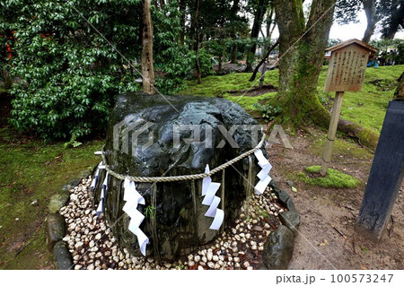 上賀茂神社 上賀茂神社 100573247