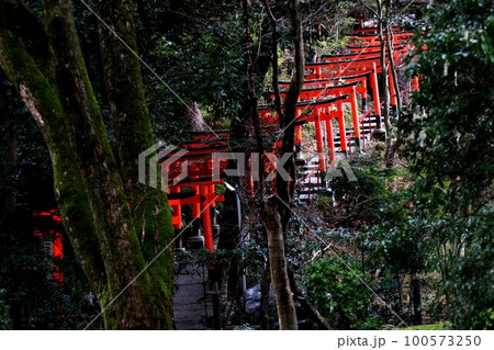 上賀茂神社 上賀茂神社 100573250