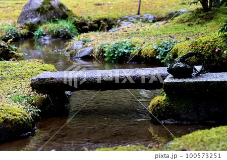 上賀茂神社 上賀茂神社 100573251