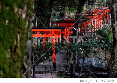上賀茂神社 100573272