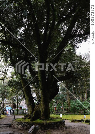 上賀茂神社 上賀茂神社 100573273