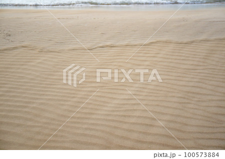 強風が吹き荒れる海辺 100573884