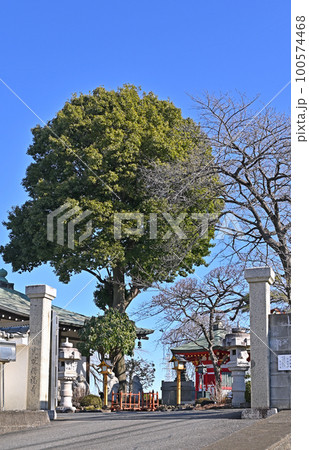川口散歩:西光院 真言宗豊山派 川口市 川口散歩:西光院 真言宗豊山派 川口市 100574468