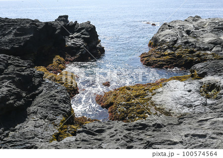 神奈川県三浦市城ヶ島 岩場の風景 神奈川県三浦市城ヶ島 岩場の風景 100574564