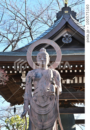 川口散歩:西光院 真言宗豊山派 慈母観音 川口市 川口散歩:西光院 真言宗豊山派 慈母観音 川口市 100575160
