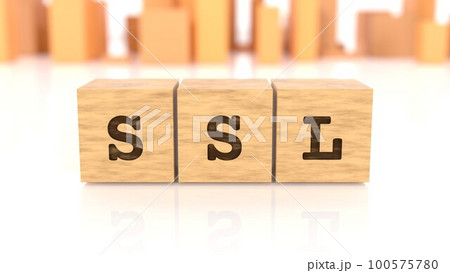 SSLの文字が印字された木製ブロック 100575780