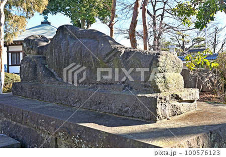 川口散歩：西光院　真言宗豊山派　涅槃仏　川口市 100576123