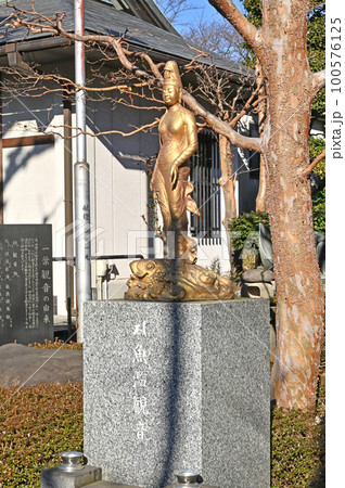 川口散歩：西光院　真言宗豊山派　魚籃観音　三十三観音　川口市 100576125