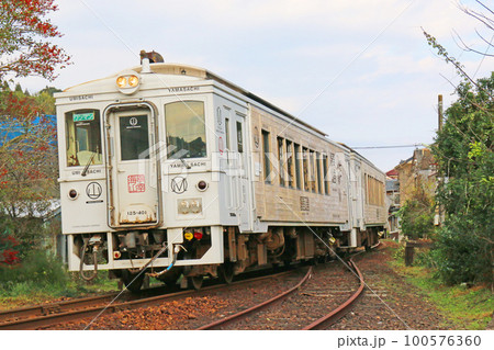 日南線を走行する列車 100576360