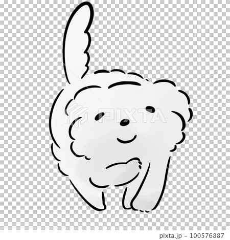 ほほ笑むマルチーズ 100576887