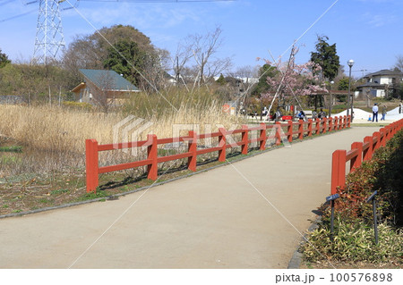 イイナパーク川口（赤山歴史自然公園）　埼玉県川口市赤山 100576898