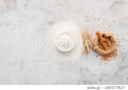 Wheat grains and white wheat flour in measure bowl set up on white concrete background. 100577627