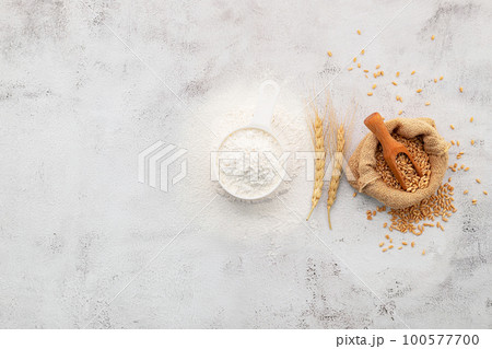 Wheat grains and white wheat flour in measure bowl set up on white concrete background. 100577700