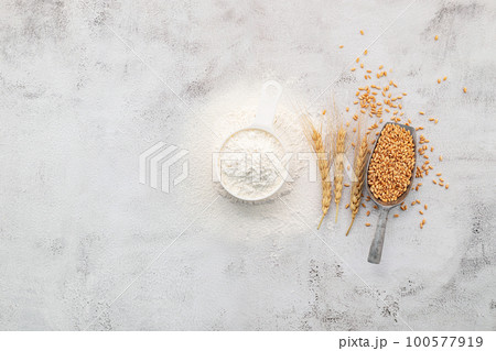 Wheat grains and white wheat flour in measure bowl set up on white concrete background. Wheat grains and white wheat flour in measure bowl set up on white concrete background. 100577919