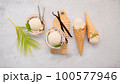 Coconut ice cream flavours in half of coconut setup on white stone background. Summer and Sweet menu concept. 100577946