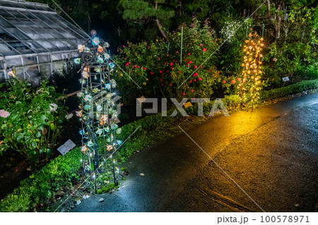 花巻温泉　バラ園　ライトアップ（岩手県花巻市） 100578971