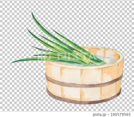 桶の中の菖蒲の水彩画 100579565