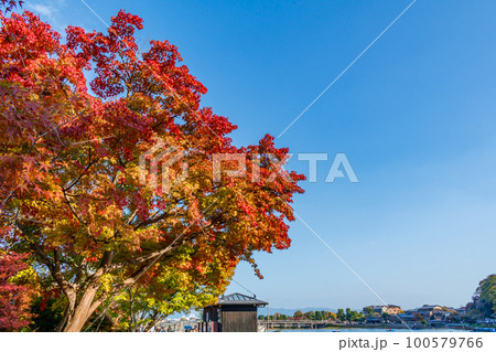 【京都の景観】嵐山渡月橋の秋 【京都の景観】嵐山渡月橋の秋 100579766