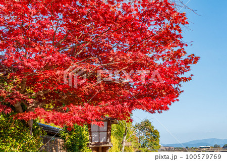 【京都の景観】嵐山渡月橋の秋 100579769