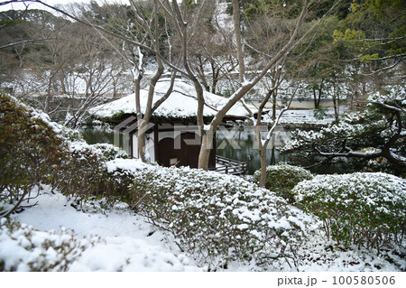紅葉渓(和歌山城西之丸庭園) 【和歌山県和歌山市】 紅葉渓(和歌山城西之丸庭園) 【和歌山県和歌山市】 100580506