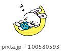 空飛ぶスターうさぎ_moondream 100580593
