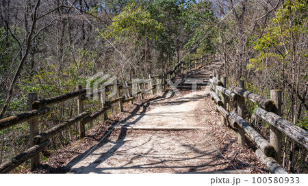 星のブランコへの道　らくようの路　ほしだ園地 100580933