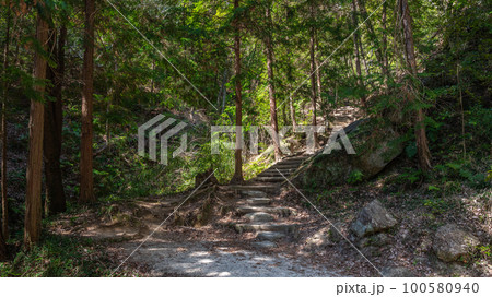 ほしだ園地ピトンの小屋から星のブランコへと続く路　ぼうけんの路 100580940