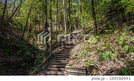 ほしだ園地ピトンの小屋から星のブランコへと続く路　ぼうけんの路 100580941