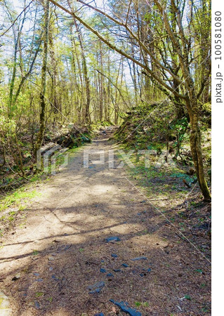 五色沼　自然探勝路 100581080