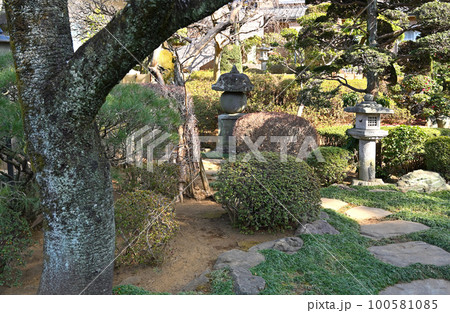 川口散歩：密蔵院　真言宗智山派　庭園　川口市 100581085