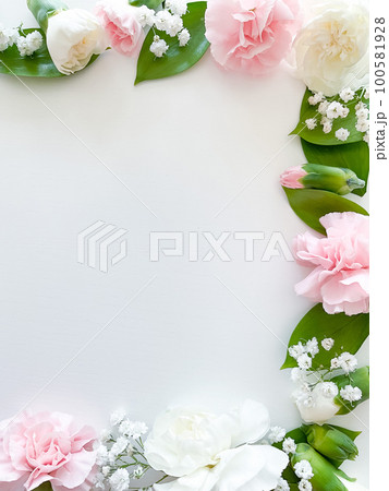Pink floral. assorted pink flowers border on white Pink floral. assorted pink flowers border on white 100581928