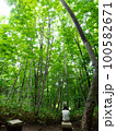 森林浴している女性 100582671