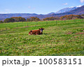 ジャージー牛と大山 100583151