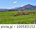 ジャージー牛と大山 100583152