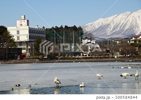 高松の池から見える岩手山 100584844