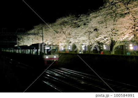新京成線くぬぎ山駅付近の桜(ソメイヨシノ)並木ライトアップ 陸自松戸駐屯地 千葉県鎌ケ谷市くぬぎ山 新京成線くぬぎ山駅付近の桜(ソメイヨシノ)並木ライトアップ 陸自松戸駐屯地 千葉県鎌ケ谷市くぬぎ山 100584991