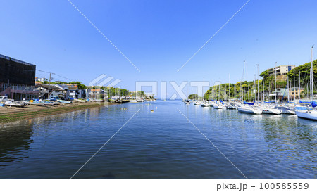 ヨットハーバーの春　 100585559