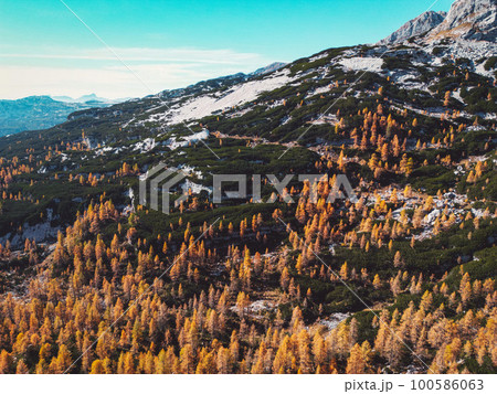Mountain forest thinning out with altitude until there are just a few trees left up the mountain Mountain forest thinning out with altitude until there are just a few trees left up the mountain 100586063