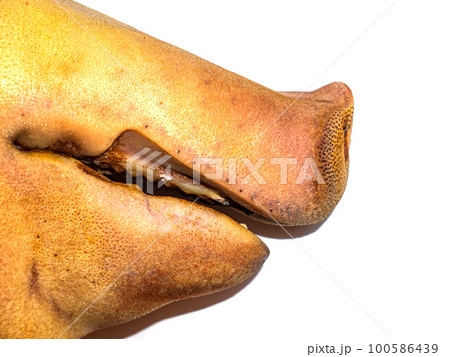 Pig meat head on a white background. 100586439