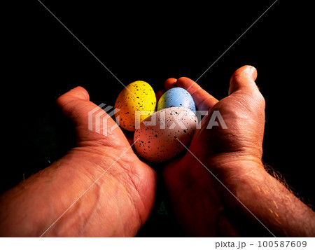 Easter chicken eggs in hand on a black background. 100587609