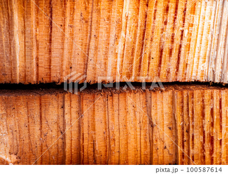 The texture of a transverse crack in a cut of pine wood. The texture of a transverse crack in a cut of pine wood. 100587614