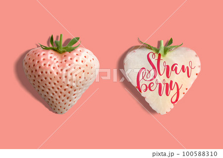 ハート型の白いイチゴ、Strawberryのロゴ入「フラミンゴ」 100588310