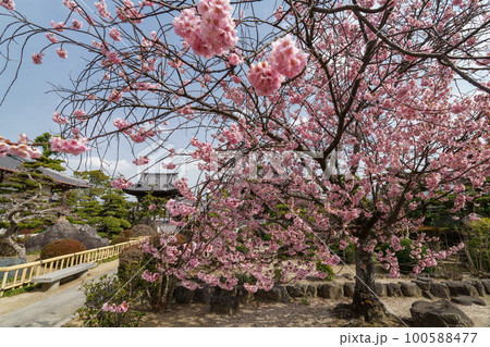四国八十八ヶ所霊場 西林寺 四国八十八ヶ所霊場 西林寺 100588477